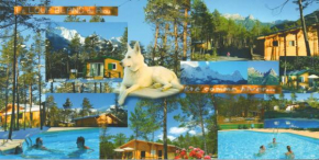 Parc Résidentiel de Loisir : Le Loup Blanc du Riou